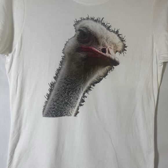 Women's Ivory Ostrich Graphic T-Shirt – Size M – Jumpers Slim Fit Cotton Tee - Picture 2 of 4